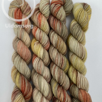 Mini/Nu falmer skoven