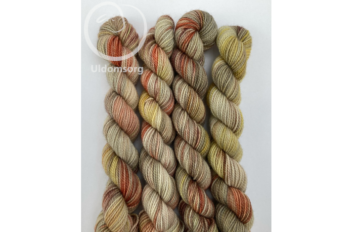 Mini/Nu falmer skoven