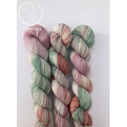 Mini/Spr�de Tulipaner