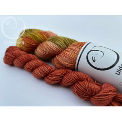 Sokkegarn/Belle de Boskoop